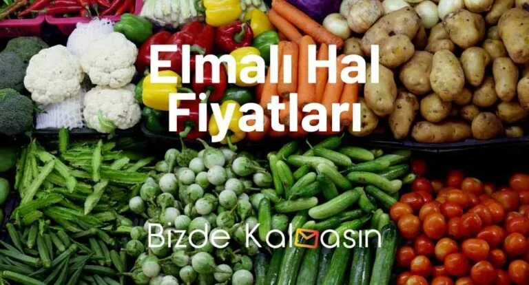 Elmalı Hal Fiyatları 2023 – Sebze Ve Meyve Fiyat Listesi