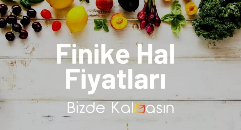 Finike Hal Fiyatları 2025 – Güncel Sahilkent Hal Fiyatları