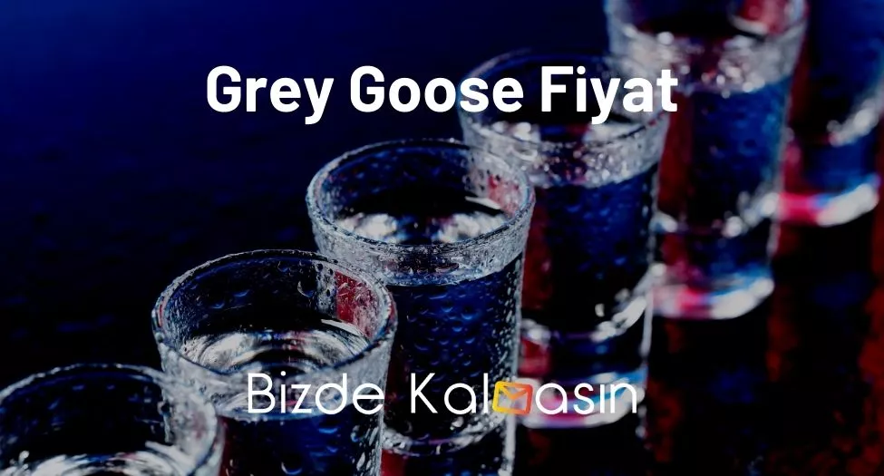 Grey Goose Fiyat