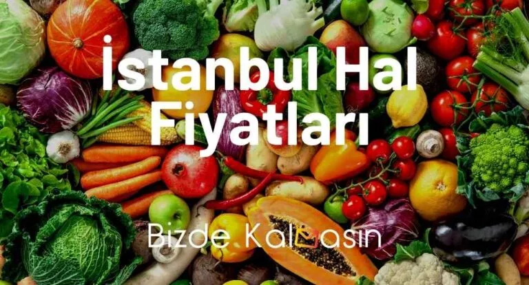 İstanbul Hal Fiyatları 2025 – Güncel Sebze Meyve Ve Balık Fiyatları