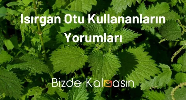 Isırgan Otu Kullananların Yorumları – Isırgan Otu Çayı Yorumları
