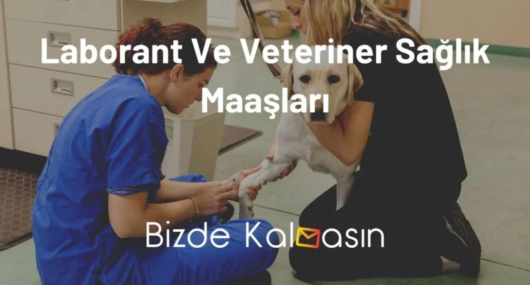 Laborant Ve Veteriner Sağlık Maaşları 2025 – Yeni Zamlı Maaş!