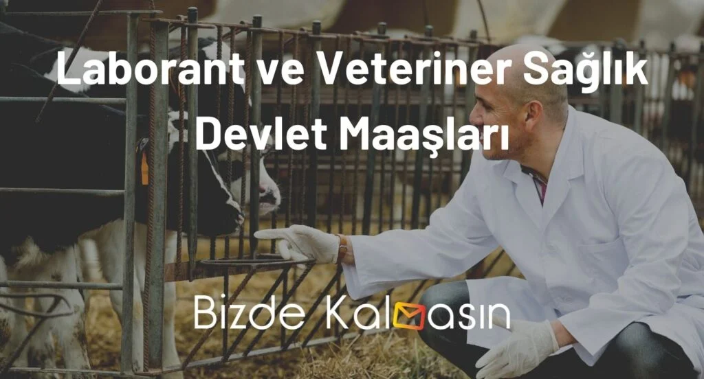 Laborant ve Veteriner Sağlık Devlet Maaşları