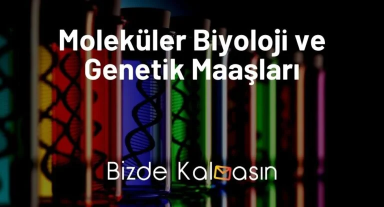 Moleküler Biyoloji ve Genetik Maaşları 2024 – Zamlı Biyolog Maaşı!
