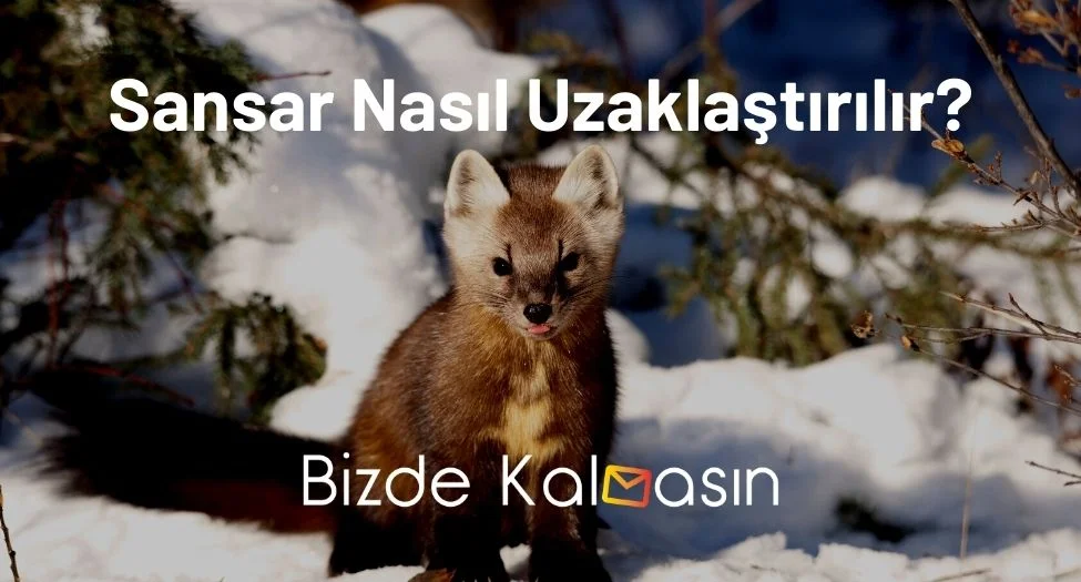 Sansar Nasıl Uzaklaştırılır?