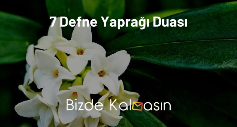 7 Defne Yaprağı Duası – Büyü Bozma