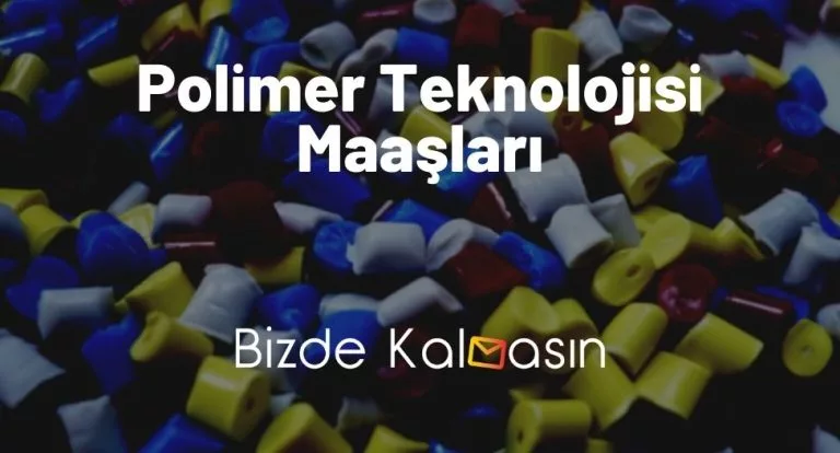 Polimer Teknolojisi Maaşları 2024 – İş Olanakları Neler?