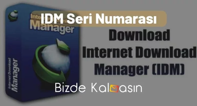 IDM Seri Numarası