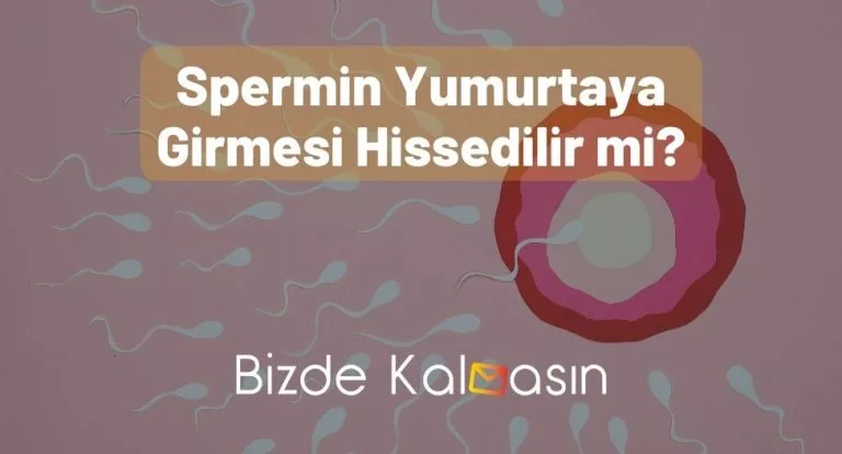 Spermin Yumurtaya Girmesi Hissedilir mi?