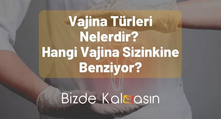 Vajina Türleri Nelerdir? Hangi Vajina Sizinkine Benziyor? – Çeşitleri!