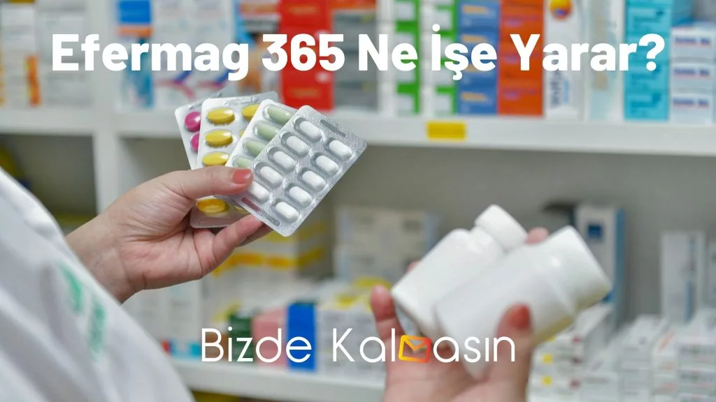 Efermag 365 Ne İşe Yarar?