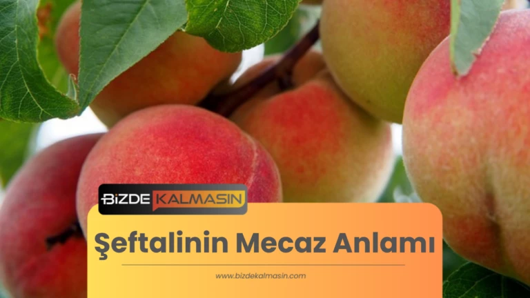 Şeftalinin Mecaz Anlamı Ve Kullanılan Ifadeler