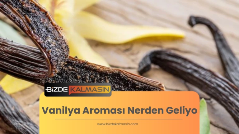 Vanilya Aroması Nerden Geliyo