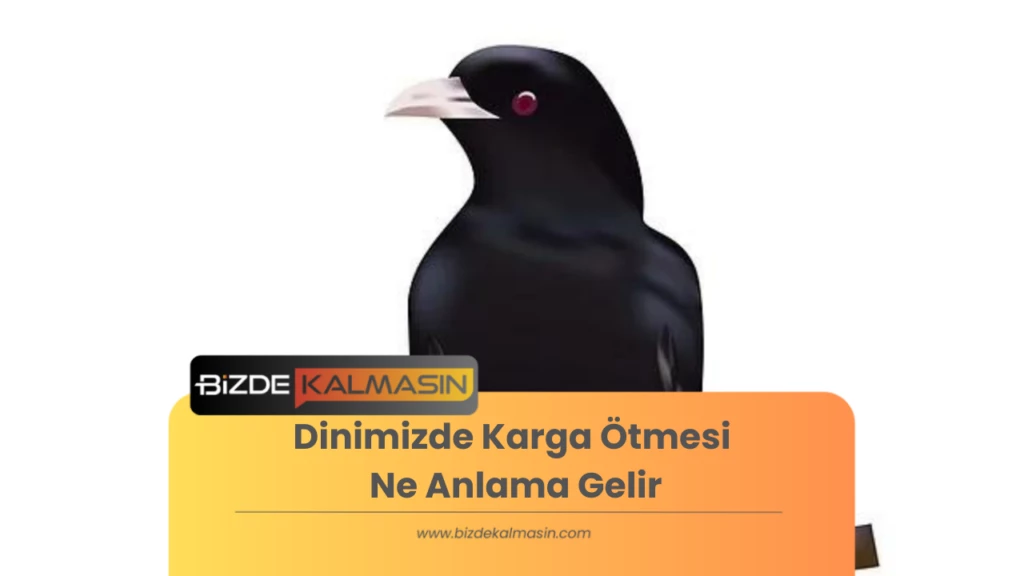 Dinimizde Karga Ötmesi Ne Anlama Gelir