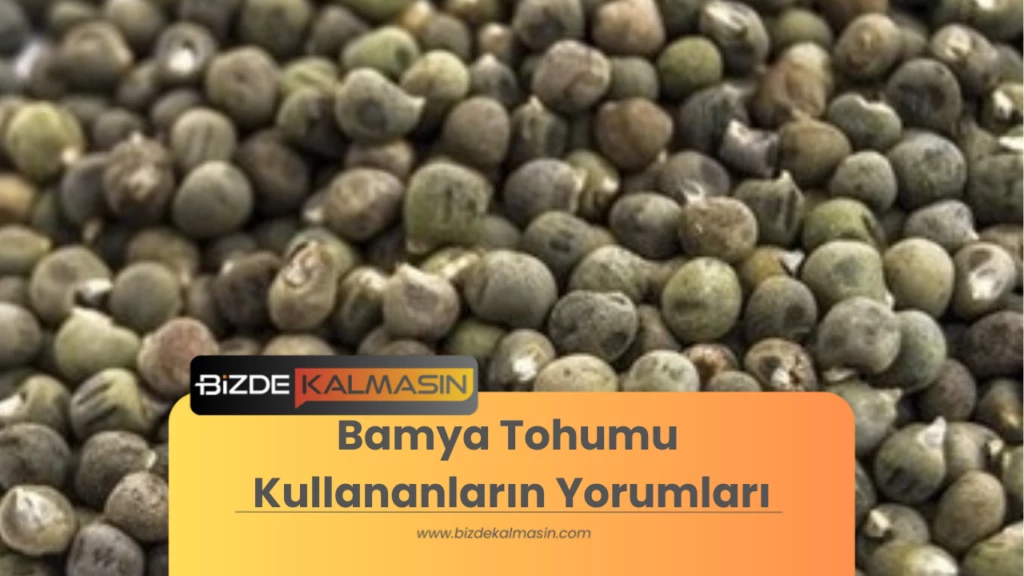 Bamya Tohumu Kullananların Yorumları