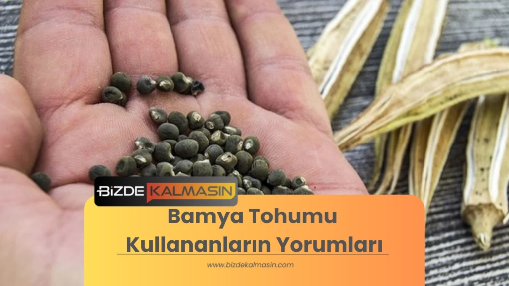 Bamya Tohumu Kullananların Yorumları