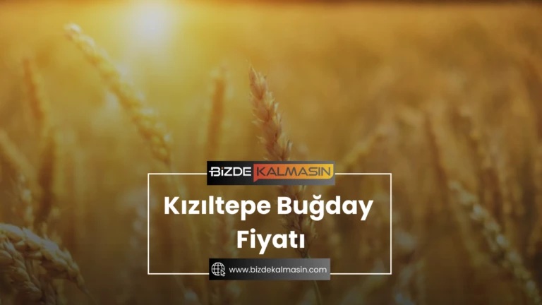 Kızıltepe Buğday Fiyatı 2025