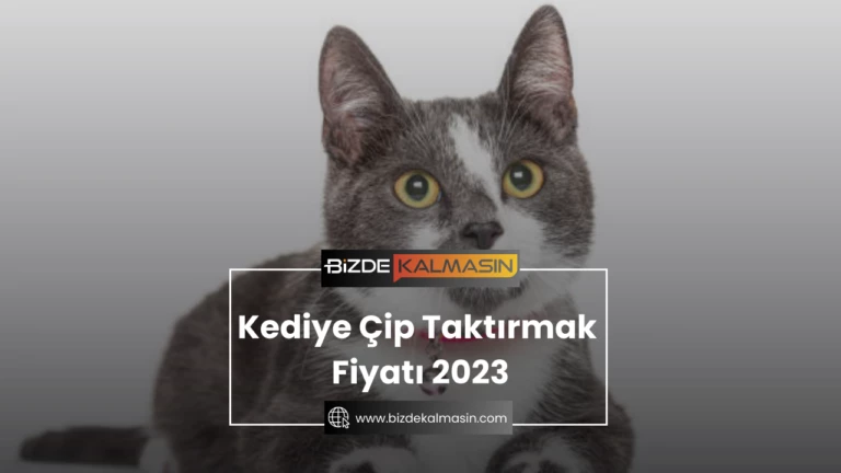 Kediye Çip Taktırmak Fiyatı 2024 – Tarım Bakanlığı