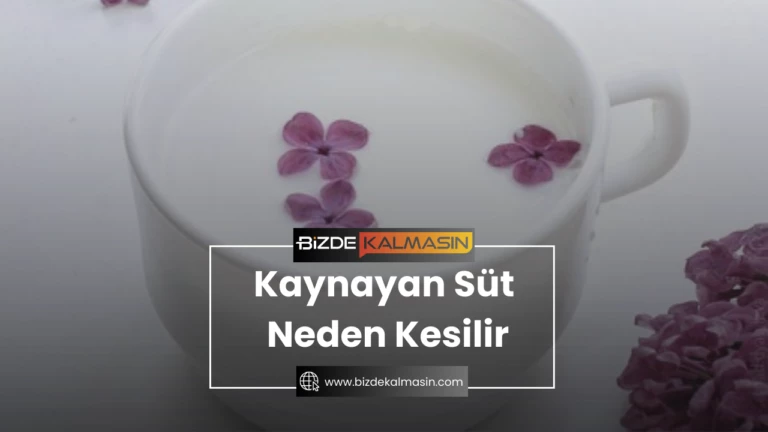 Kaynayan Süt Neden Kesilir ? Süt ve Yoğurt Yapımı