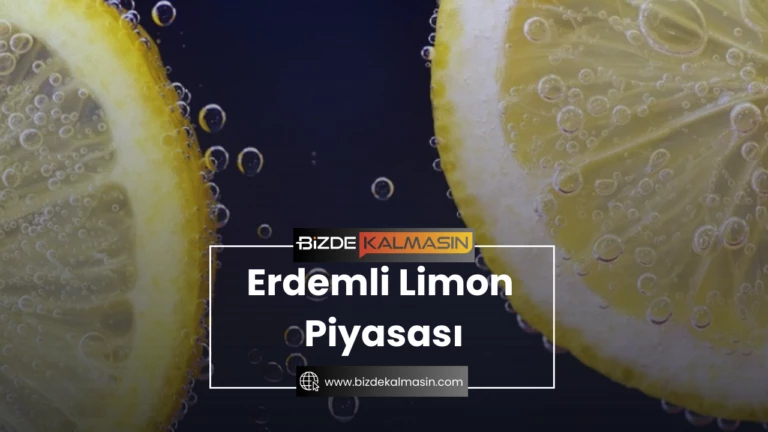 Erdemli Limon Piyasası – 1 Kasa Limon Fiyatı 